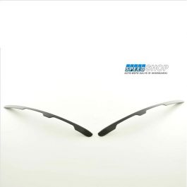 Peugeot 307 priekinių žibintų papiktinimai